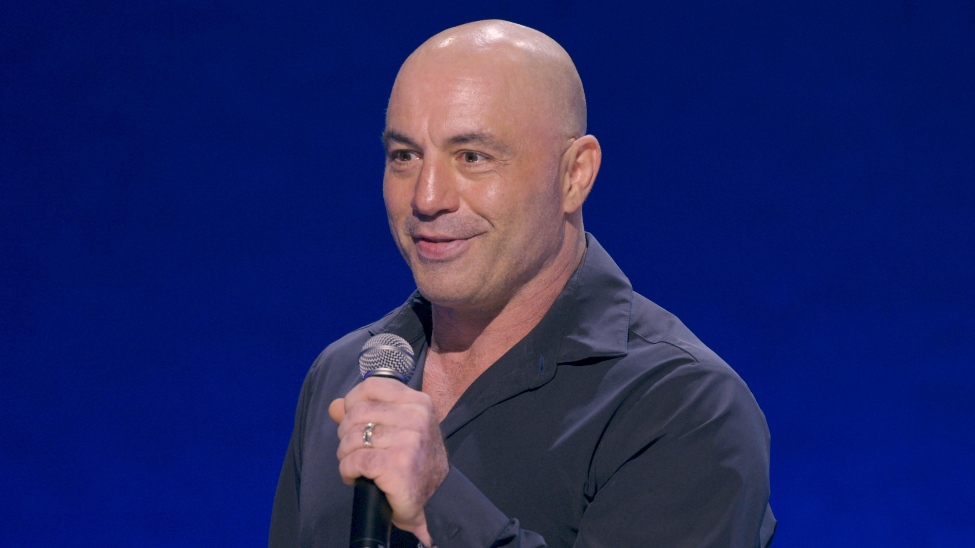 Examining the Evidence: Are Joe Rogan’s Jokes Too Similar to Brendan Schaub’s?