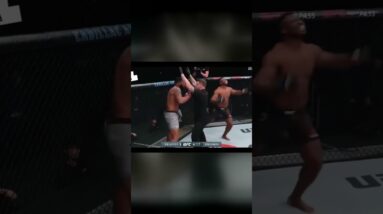 Francis Ngannou Wild Knockout