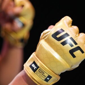 NEW UFC GLOVE 20240201 CU 1702
