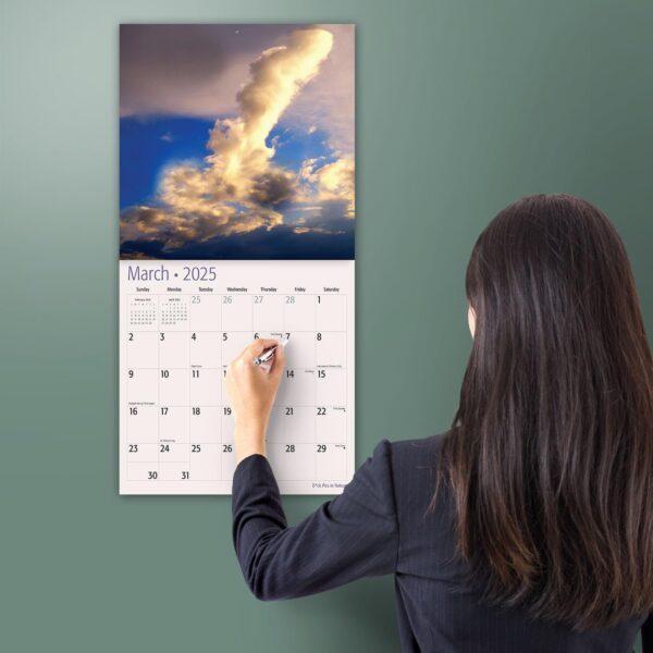 MICASA PRESS Funny Nature D'ck Pics 2025 Wall Calendar Gag Gift 12x24 - Image 4
