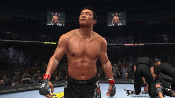 UFC Undisputed 2010: Ultimate MMA Fighting Game for Xbox 360 - Image 12