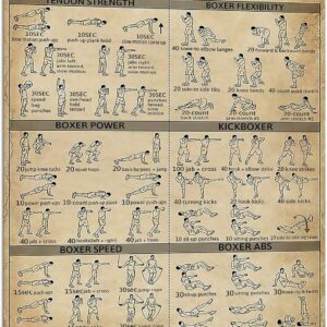 PAIION Boxing Knowledge Metal Signs Boxing Workout Exercise Guide Poster Martial Arts Club School Home GYM Wall Vintage Decor 16x12 Inches