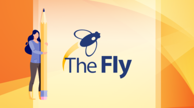 MMA.INC Partners with NZ Brazilian Jiu-Jitsu Federation in Historic Deal 21 thefly 750x400